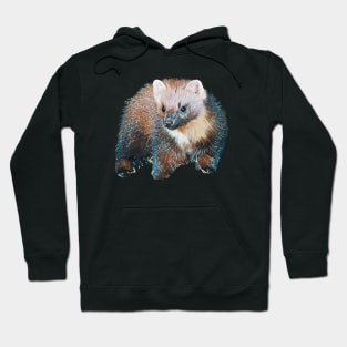 Marten - Woodland Themed Kids Room, Funny Gifts For Forester, Cute Anima Hoodie